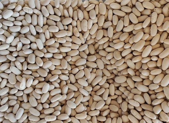 Fagioli cannellini